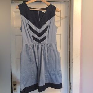 Retro Blue Cotton Birds of North America dress